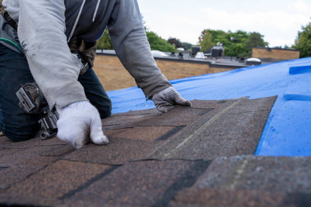 Roof Gutter Cleaning in Coldspring, TX